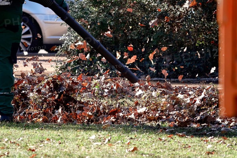 Leaf blower, March, Germany