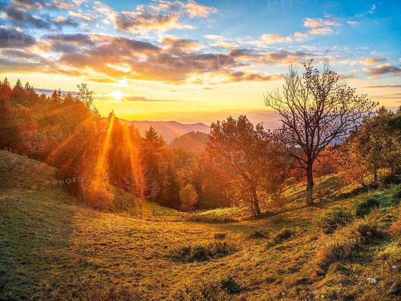 Sunset in the Scharzwald in autumn, view over the Rhine plain to the Vosges, Black Forest, Baden-Württemberg, Germany