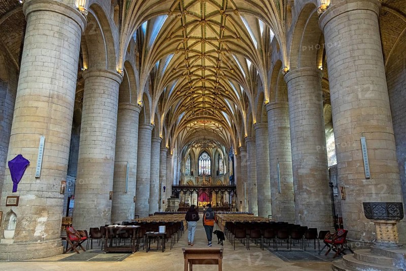 Nave, interior view, people, dog, former abbey church, Tewkesbury, Gloucestershire, England, Great Britain