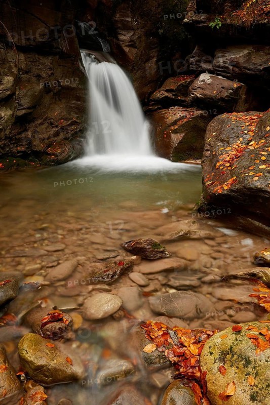 Forest Stream in autumn colours, St. Gallen, Switzerland