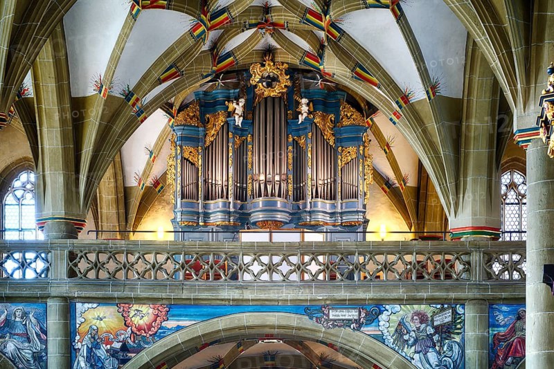 Interior photo, organ in the gallery, vaulted ceiling, evangelical town church, Bad Wimpfen, Kraichgau, Baden-Württemberg, Germany
