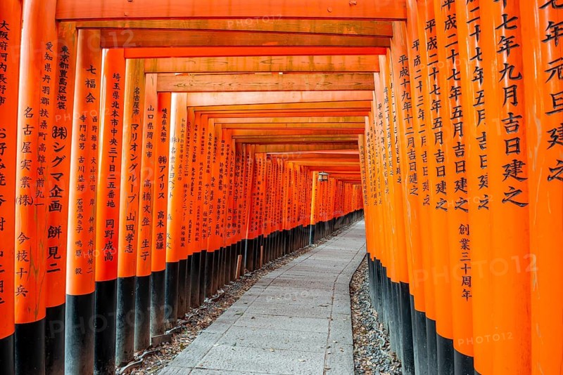 Walk through hundreds of red traditional torii gates, Fushimi Inari Taisha, Shinto Shrine, Fushimi Inari-taisha Okusha Hohaisho, Kyoto, Japan