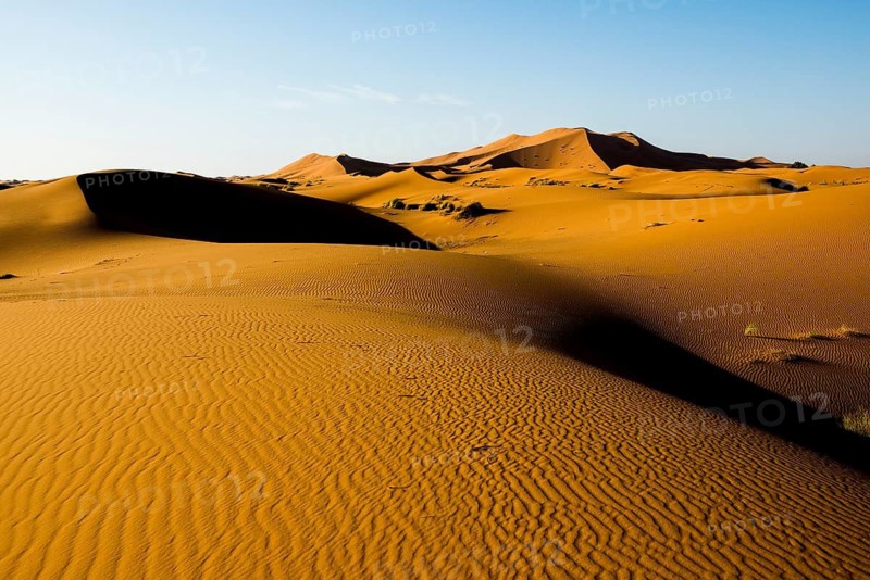 Sand dunes, sunset, near Merzouga, Meknès-Tafilalet region, Erg Chebbi, northern Sahara, Morocco
