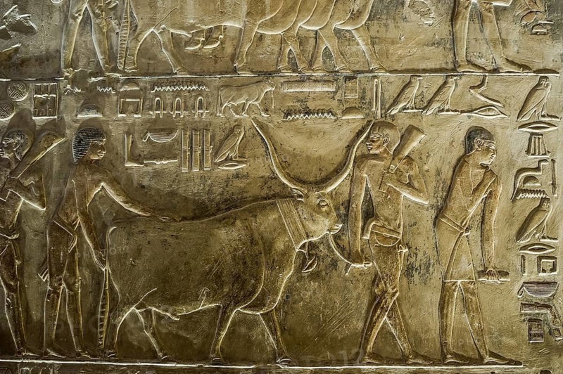 Tomb of Ptahhotep, Sakkara, Saqqara, UNESCO World Heritage Site, Memphis, Cairo, Egypt