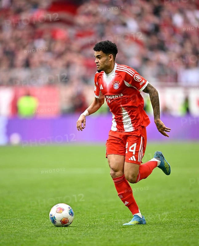 Luis Diaz FC Bayern Munich FCB (14) Action on the ball Football Bundesliga, Allianz Arena, Munich, Bavaria, Germany