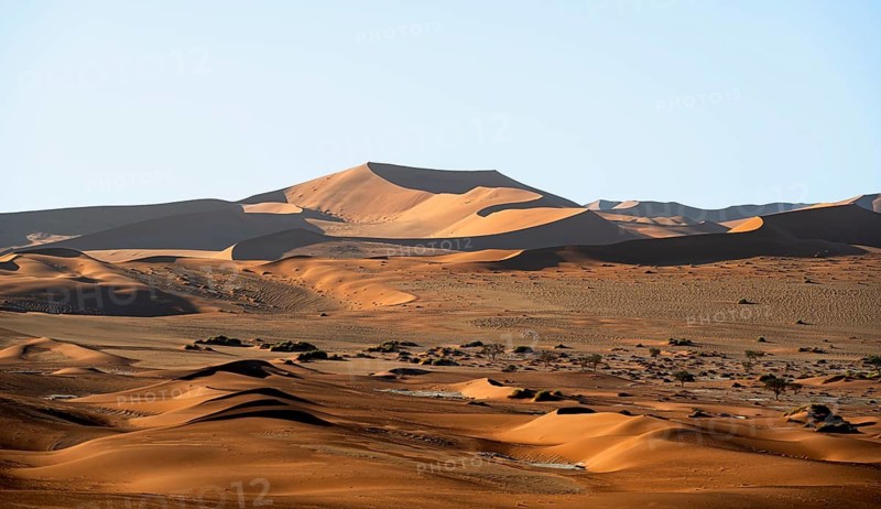 Red sand dunes, Sossusvlei region, Namib Desert, Namib-Naukluft National Park, Namibia