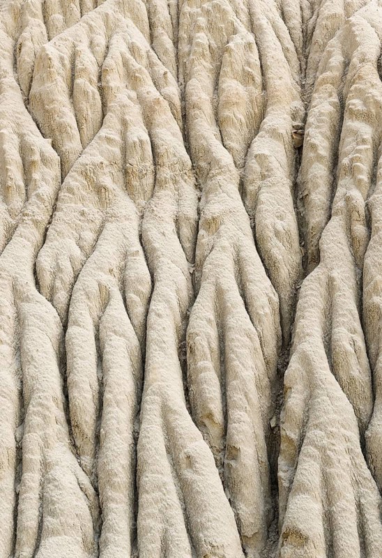 Close-up of intricate erosion patterns in dry clay formations at Theodore Roosevelt National Park, North Unit, North Dakota, USA