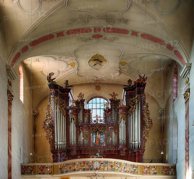 Interior view, organ in the gallery, Dominican Church, Bad Wimpfen, Kraichgau, Baden-Württemberg, Germany