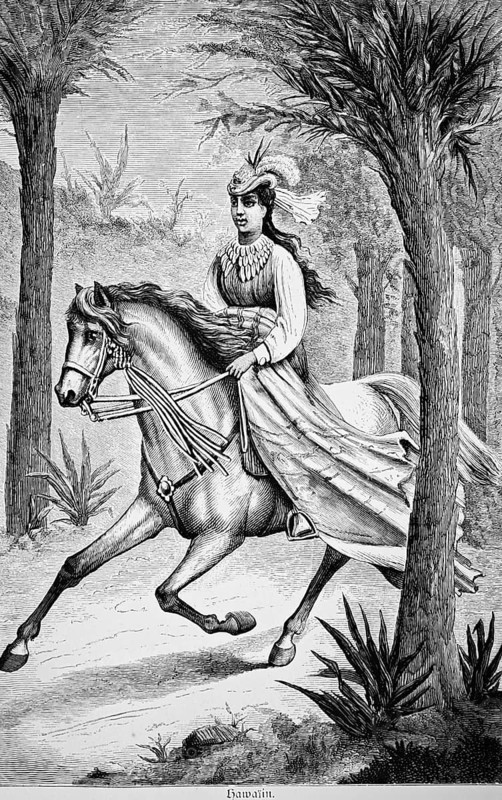 Hawaiian, young woman riding a horse at a trot through a tropical forest, reins firmly in her hands, elegant clothing, long flowing skirt, hat with feather, long black hair, ponytail hairstyle, sandy path, historical illustration, Hawaii, USA, 19th century woman