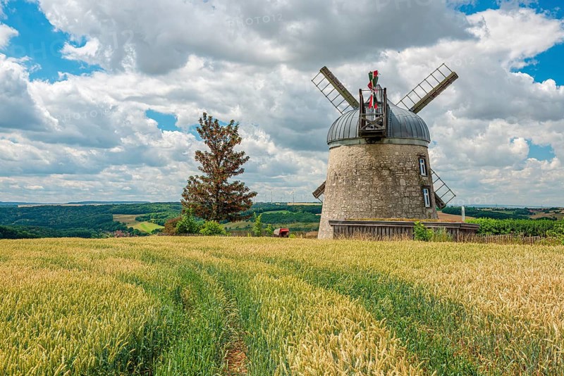 Field landscape with tower windmill, view over the Saale valley in summer, a wheat field in front, Tultewitz near Naumburg, Saxony-Anhalt, Germany