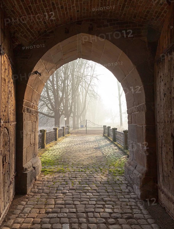 Old mighty wooden entrance gate to Bladenhorst Castle in autumn, Castrop Rauxel, Ruhr area, North Rhine-Westphalia, Germany