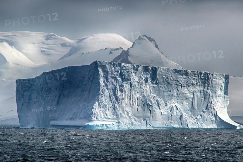 Antarctica, Wedell Sea, icebergs, South Georgia