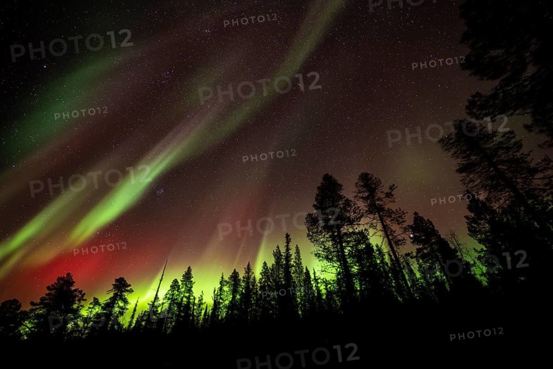 Northern Lights (Aurora borealis), Norrbotten, Lapland, Sweden, October 2022