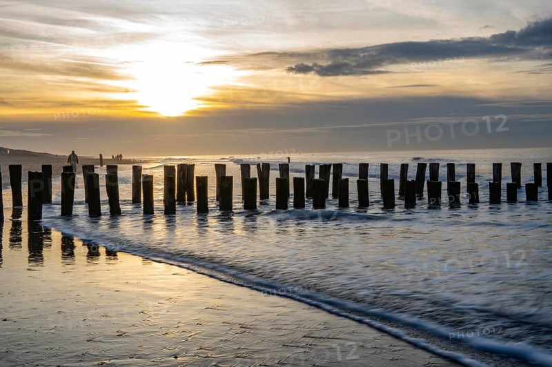 Coastal protection, through wooden posts, paalhoofden, on the beach, breakwater, the piles, some of which are rammed into the sandy soil in double rows, slow down the waves and ocean currents and thus slow down the flow rate of seawater, so less sand is washed away from the stand, near Domburg, Walcheren peninsula in the Dutch province of Zeeland