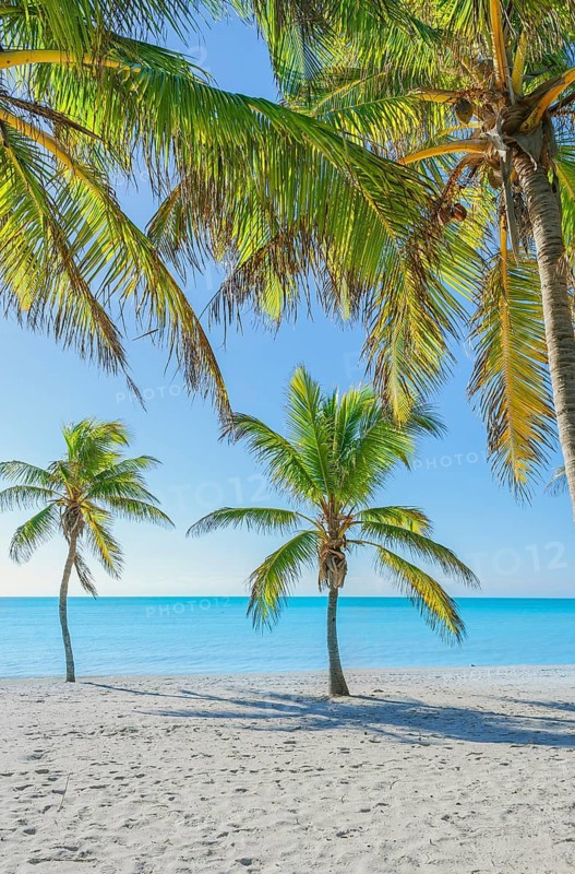 Smathers beach, Key West, Florida, USA