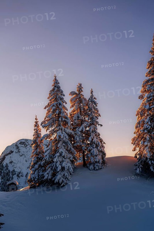 Sunrise snow tour on the Tegelberg in the Allgäu in Bavaria. Winter Wonder Land, Germany