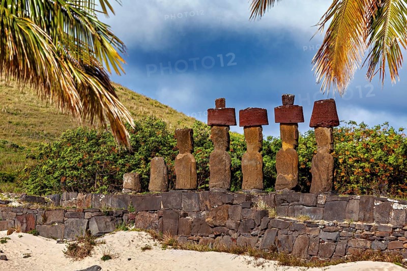 The Moai statues rise amidst palm trees and vegetation on Easter Island, under an overcast sky, The Moai statues on Easter Island in the Pacific Ocean