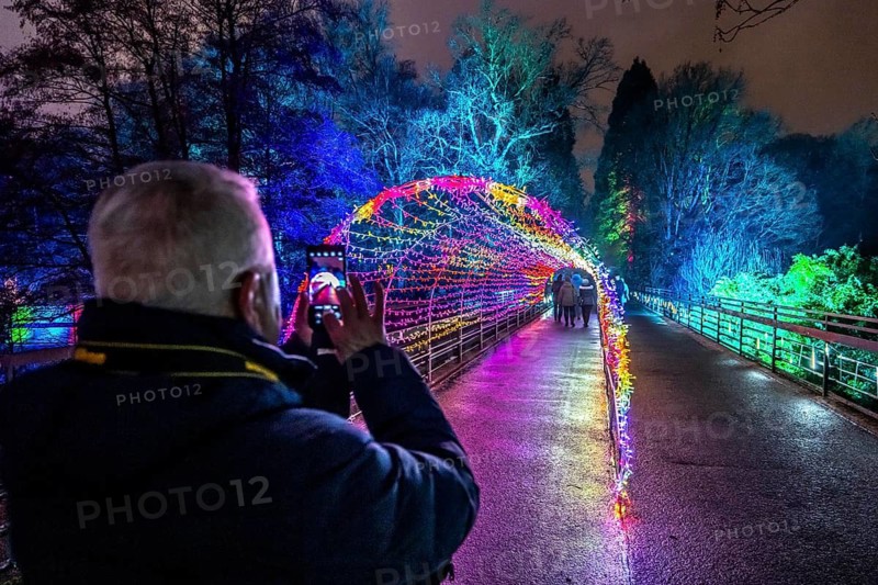Park lights, events in winter, in the Grugapark in Essen, many different light installations, across the park, attract many thousands of visitors, Lichttunnel North-Rhine Westphalia, Germany