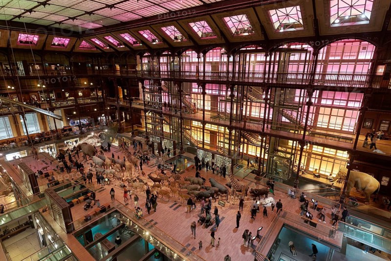 Grande Galerie de l'Evolution, Musée National d'Historie Naturell, National Museum of Natural History, exhibition hall with animal models, Jardin des Plantes, Paris, France