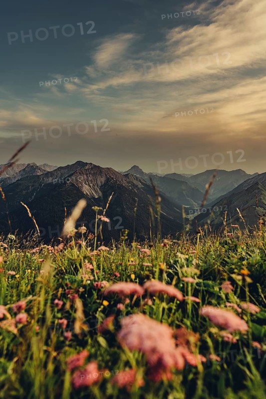 Hiking tour on the Hönig mountain in the Lechtal valley near Berwang in Tyrol, Austria
