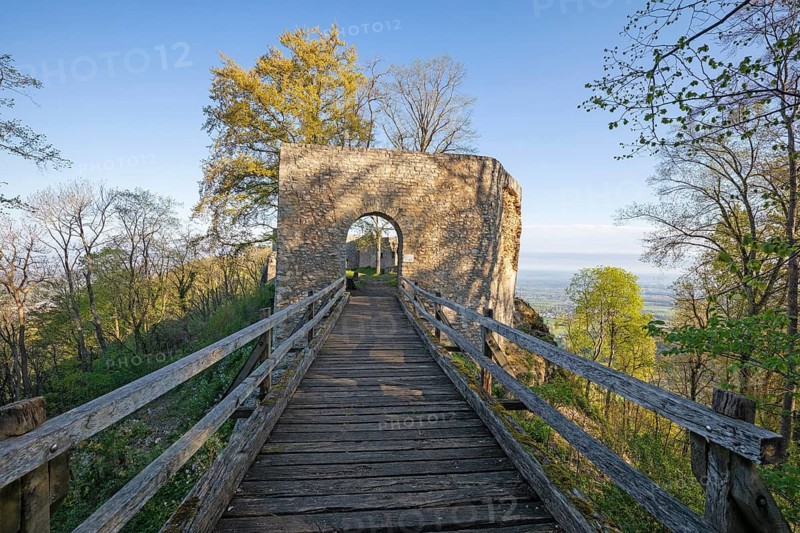 Historic castle ruin Rauber (Diepoldsburg) with wooden bridge and spring flowers at sunrise. Swabian Alb, Baden-Wuerttemberg, Germany