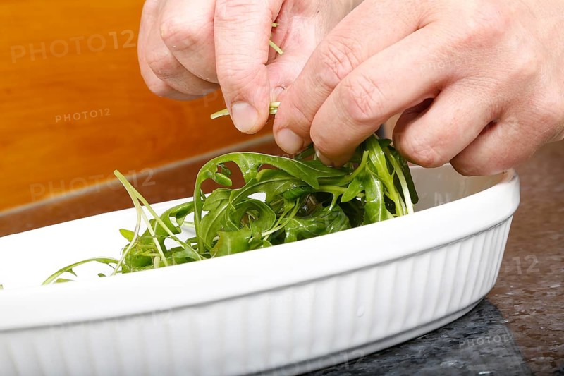 Vegetarian cuisine, preparation of arugula, arugula, arugula, white bowl, healthy, men's hands, food photography, studio, Germany