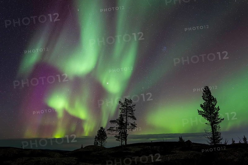Northern Lights (Aurora borealis), Norrbotten, Lapland, Sweden, September 2024