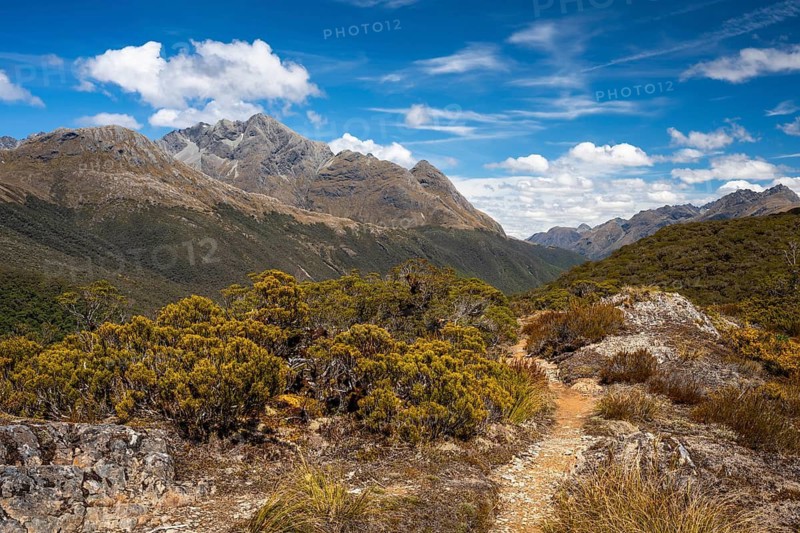 Mountain landscape in New Zealand on the Key Summit Track hiking trail. Fiordland National Park, Southland Region, South Island, New Zealand
