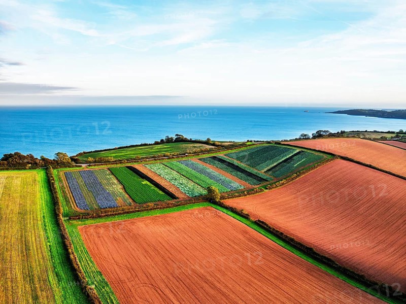 Colours of autumn Fields and Farms over Sheldon from a drone, Torbay, Devon, England, United Kingdom