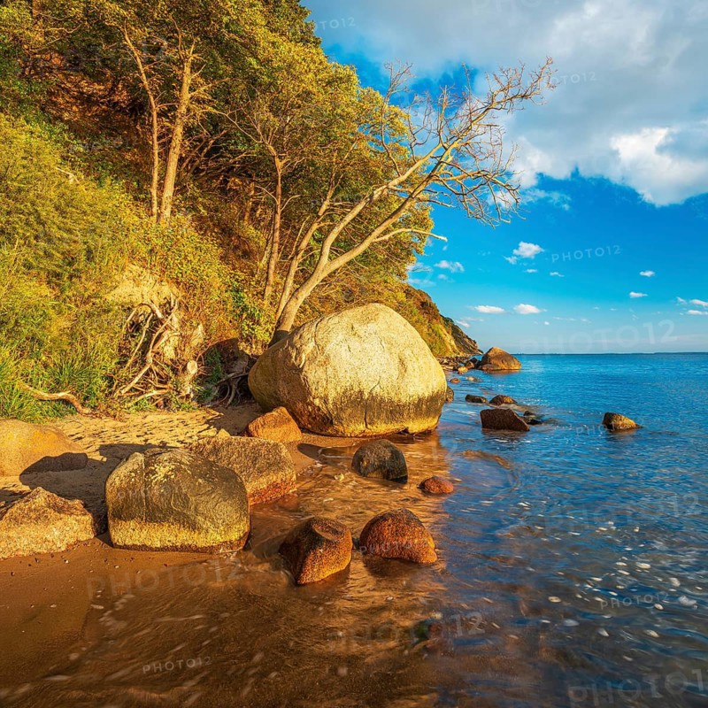 Coastal landscape with large boulders on the Baltic Sea beach in the evening light, Mönchgut Nature Reserve, Groß Zicker, Mönchgut Peninsula, Rügen Island, Mecklenburg-Western Pomerania, Germany