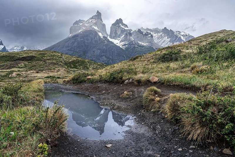Cuernos del Paine, rocky peaks with remnants of snow under cloudy sky, reflection in a puddle of water, surrounded by tufts of grass and shrubs, Torres del Paine National Park, Patagonia, Chile