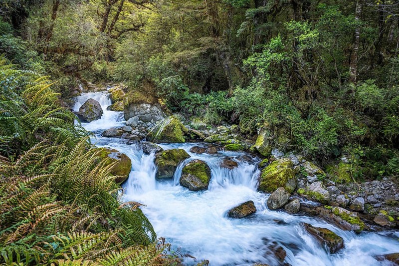Landscape in New Zealand with river and forest. Waterfalls Marian Falls, Fiordland National Park, Southland Region, South Island, New Zealand