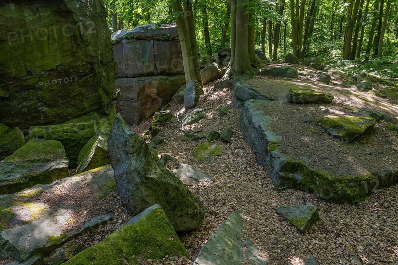 Rocks in green beech forest, Ore Mountains, Czech Republic, May 2024