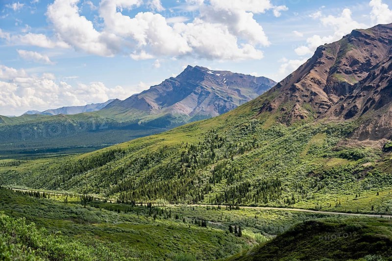 Tundra and mountainous landscape of the Alaska Range, Sable Pass, Denali National Park and Preserve, Alaska, USA