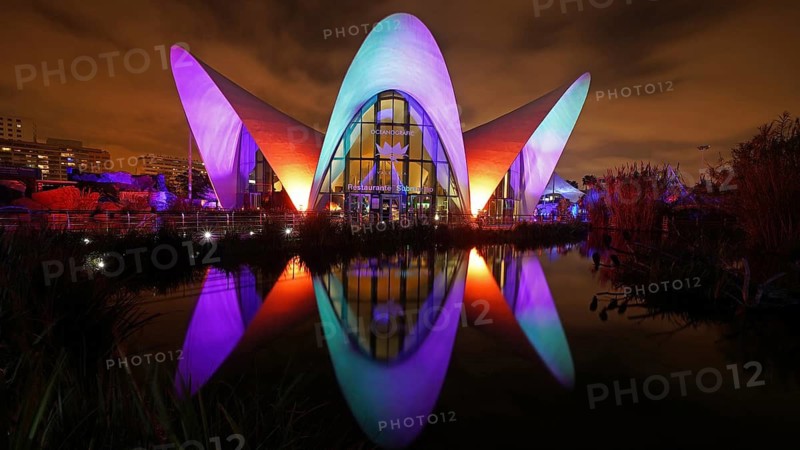 The Oceanum in Valencia, night view, aquarium complex, Spain, Europe, Valencia