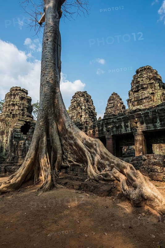 Ta Prohm, Angkor Wat, Angkor, UNESCO World Heritage Site, Siem Reap, Cambodia, Indochina, Southeast Asia