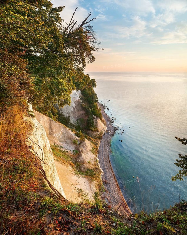 View from the high shore of the chalk cliffs on the Baltic Sea in the morning light, beech trees on the edge of the cliff, Jasmund National Park, Rügen Island, Mecklenburg-Western Pomerania, Germany
