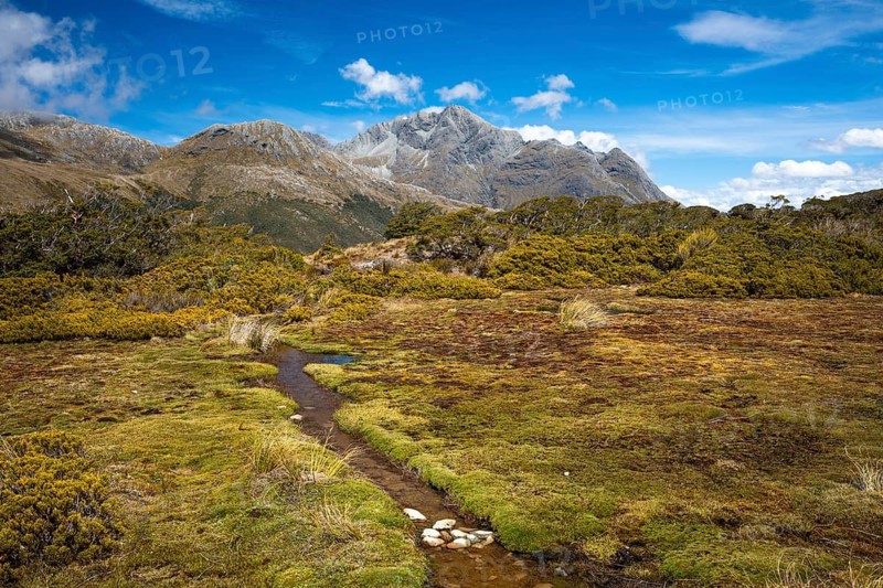 Mountain landscape with stream on the Key Summit Track hiking trail. Fiordland National Park, Southland Region, South Island, New Zealand
