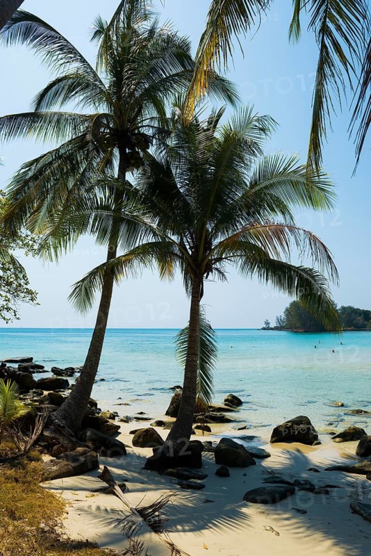 Sandy beach beach with coconut palms, Haad Khlong Hin Beach, Koh Kood, Koh Kut, Gulf of Thailand, Thailand