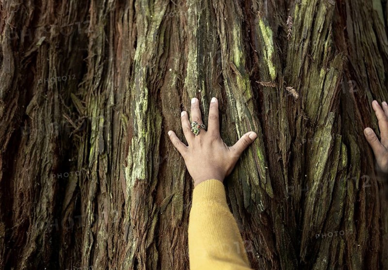 A hand with a green ring rests on the textured bark of a large tree in the Great Ocean Road, Australia. The gesture signifies a deep connection with nature, emphasizing the sustainability