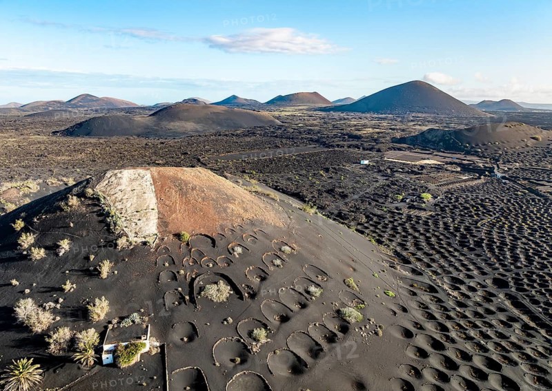 Typical drywall viticulture in volcanic landscape, on volcanic ash, lapilli, aerial view, vines, La Geria wine-growing region, Lanzarote, Canary Islands, Spain