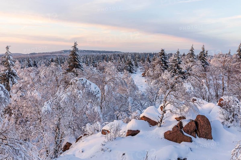 View from Großer Lugstein of the winter landscape with snow-covered trees and branches covered with hoarfrost on the Ore Mountains Ridge at sunset, Zinnwald-Georgenfeld, Altenberg, Eastern Ore Mountains, Saxony, Germany