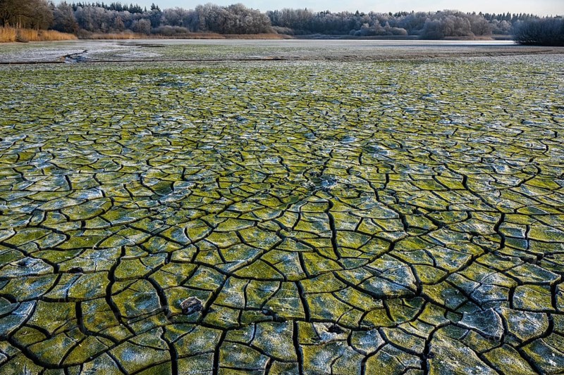 Winter hoarfrost at Ahlhorn fish ponds, Ahlhorn fish ponds, Ahlhorn, Lower Saxony, Germany