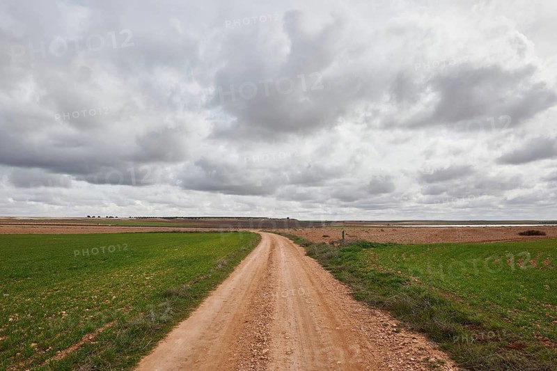 A winding dirt road stretches through expansive farmland under a dramatic, cloudy sky. The vibrant greens contrast with earthy tones, depicting serene rural life and nature vastness