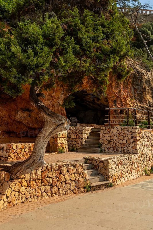 Stone stairs leading to a small cave in the rock face, shaded by a juniper tree, in puerto cristo, mallorca