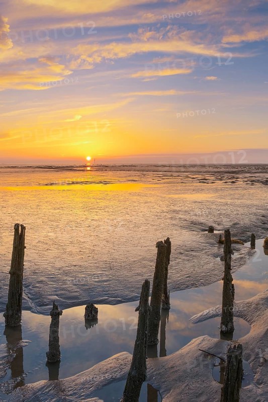 View of old rotten stakes in the Wadden Sea at low tide at sunset, National Park, Unesco, World Natural Heritage, World Heritage, Lower Saxony, Wadden Sea, Cuxhaven, Lower Saxony, Germany