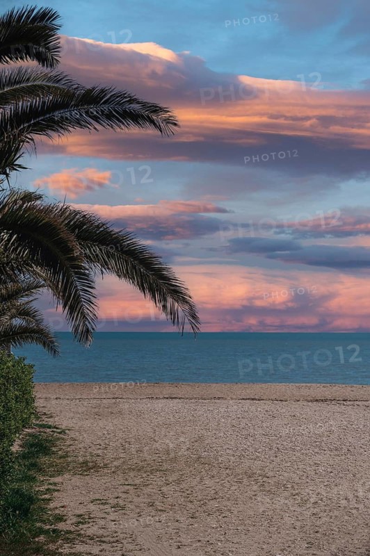 A peaceful scene from Marche, Italy, featuring a serene beach at sunset. Silhouetted palm fronds frame the vibrant sky with orange and pink hues