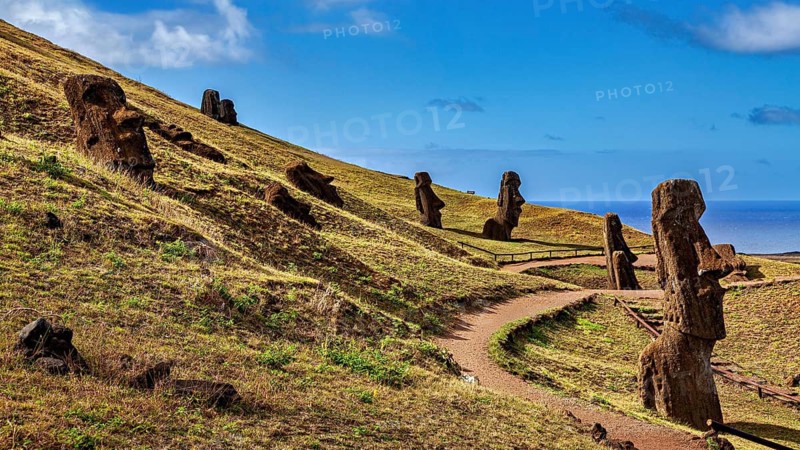 Several moai along a wind path on a sunny hill under a blue sky, the moai statues on Easter Island in the Pacific Ocean