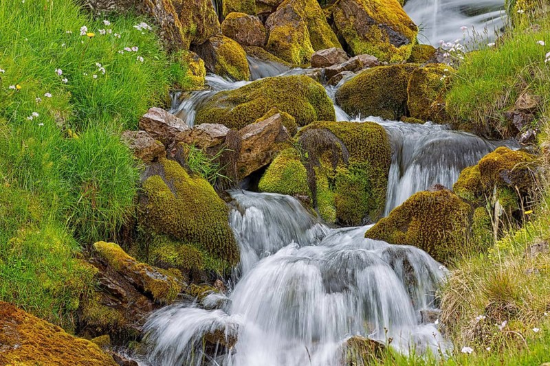 Waterfall, stream, moss, stones, small waterfalls, Iceland, Hnjótur, Vestfirðir, Iceland