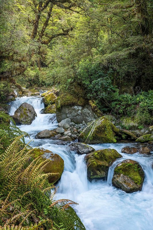 Landscape in New Zealand with river and forest. Waterfalls Marian Falls, Fiordland National Park, Southland Region, South Island, New Zealand